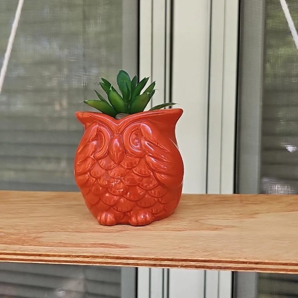 Hanging Wooden Shelf with Ceramin Owl Planter